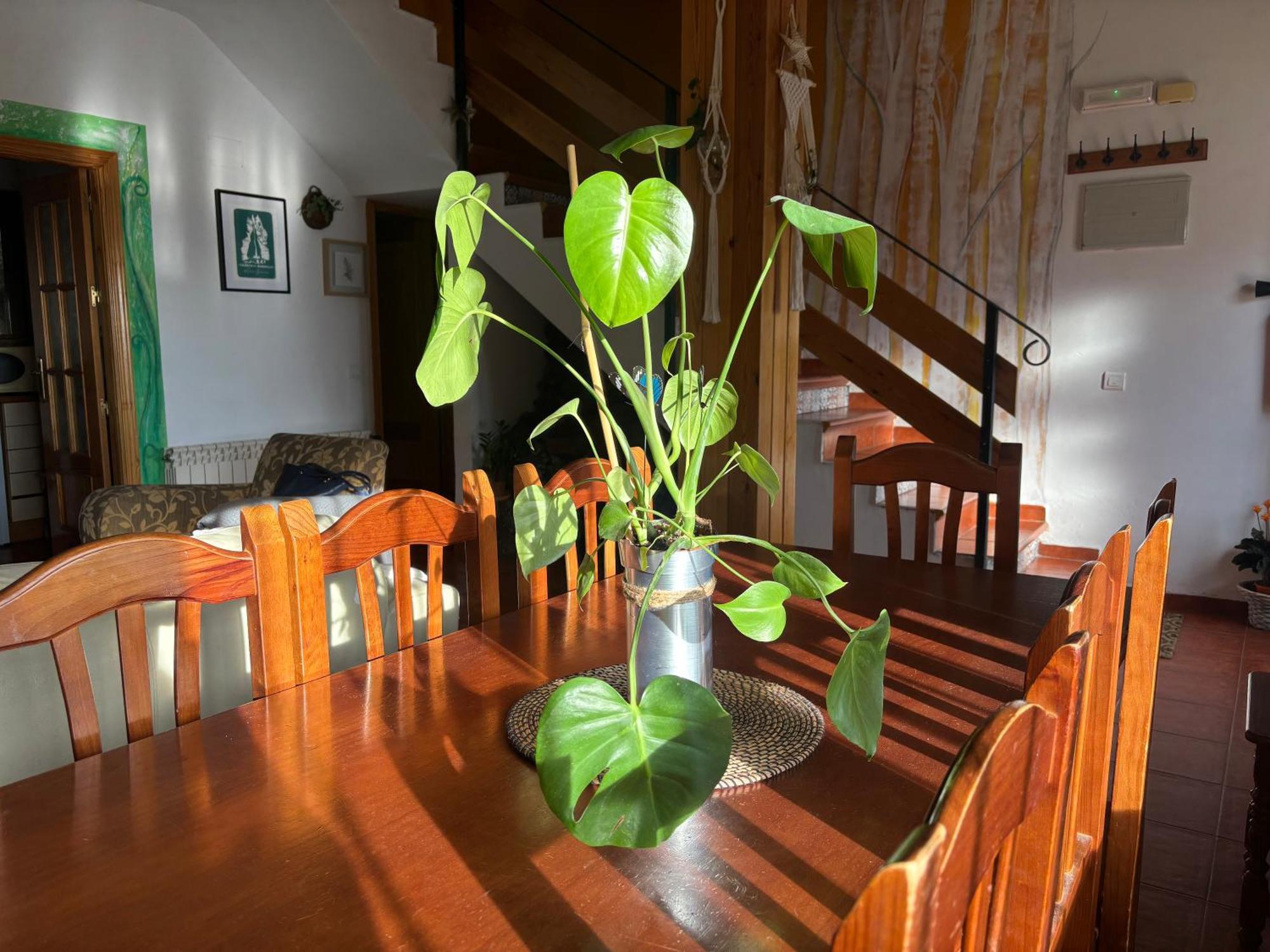 Villa Espejo Del Tietar Pedro Bernardo Exterior foto
